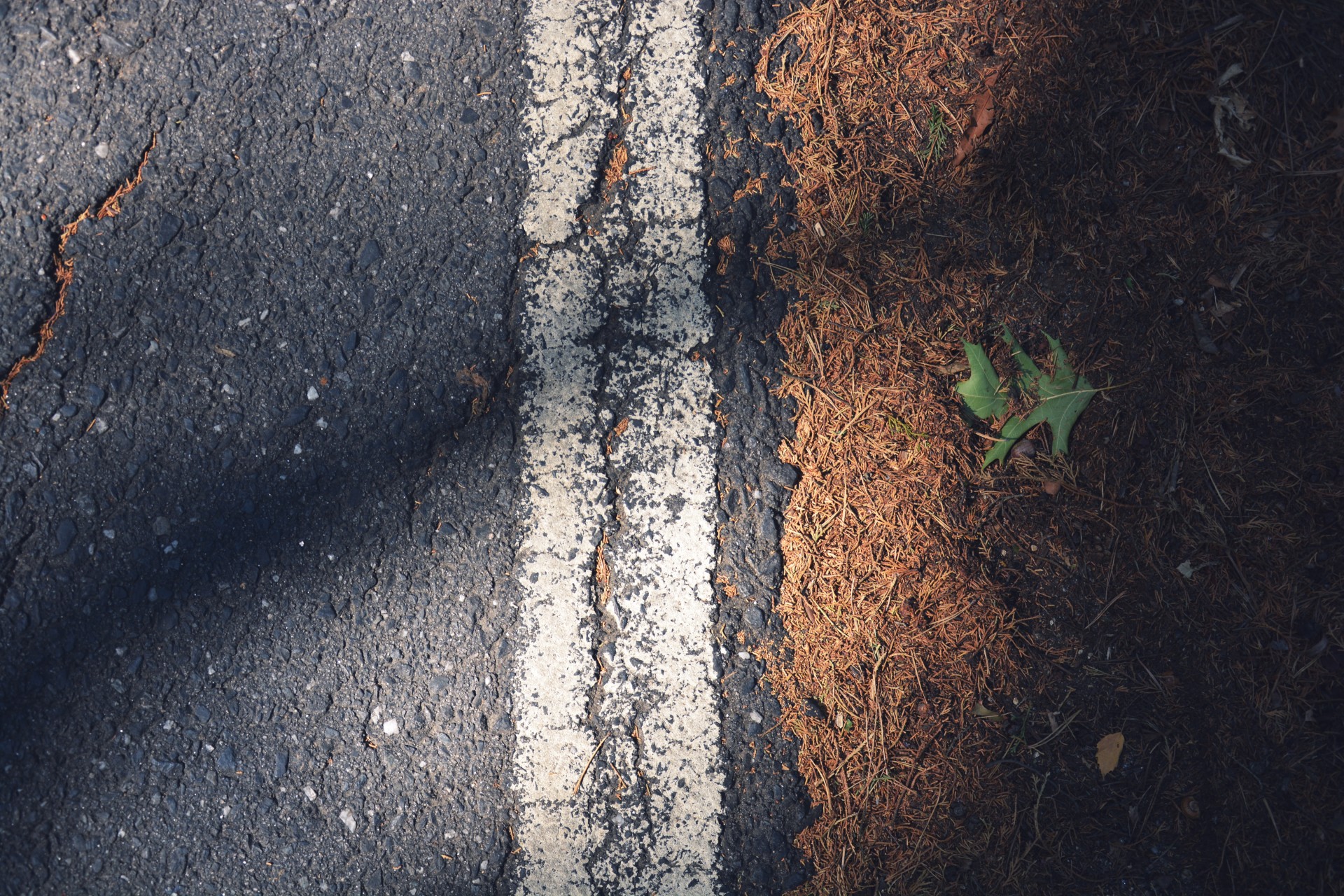 Technologische innovationen, produkte oder vorschläge zur verbesserung der verkehrssicherheit